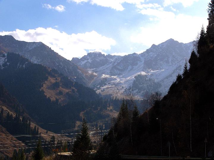 Original image